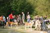 2009-09-20_ntb_8538