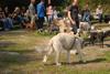 2009-09-20_ntb_8545