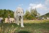 2009-09-20_ntb_8548