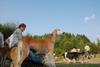 2009-09-20_ntb_8549