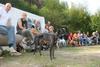 2009-09-20_ntb_8551