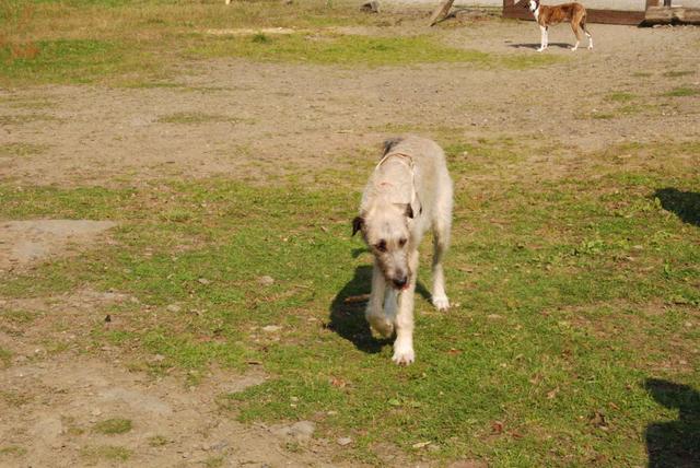 2009-09-20_ntb_8552