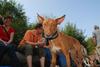 2009-09-20_ntb_8554