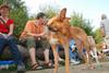 2009-09-20_ntb_8555