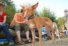 2009-09-20_ntb_8556