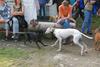 2009-09-20_ntb_8559