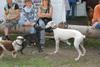 2009-09-20_ntb_8560