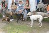 2009-09-20_ntb_8561