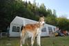 2009-09-20_ntb_8563