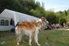 2009-09-20_ntb_8564