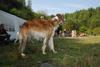 2009-09-20_ntb_8566