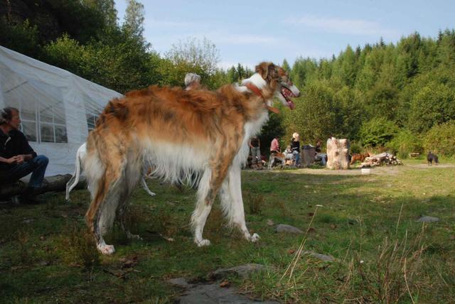 2009-09-20_ntb_8566