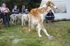 2009-09-20_ntb_8567