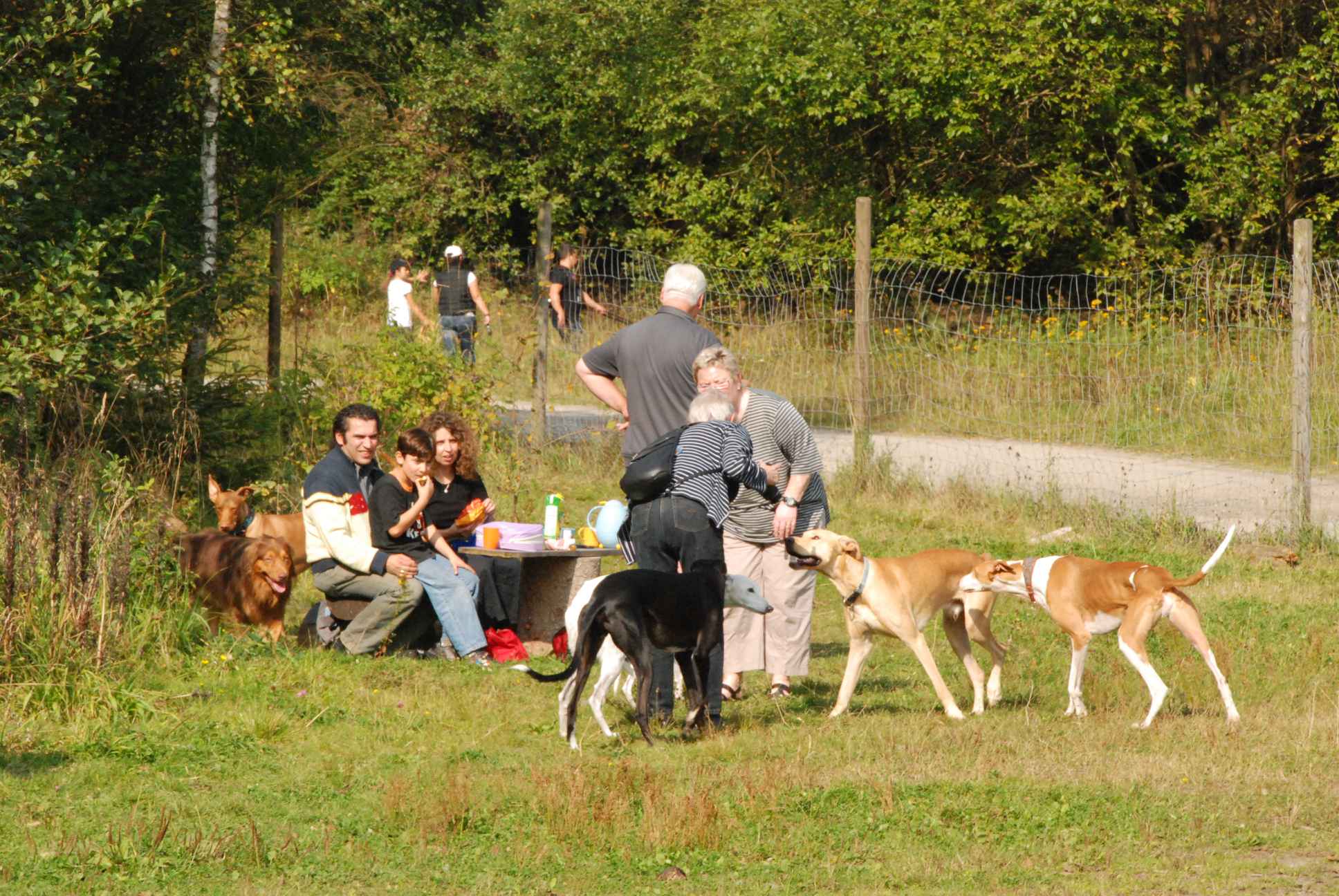 2009-09-20_ntb_8570