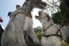 2009-09-20_ntb_8572