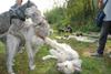 2009-09-20_ntb_8575