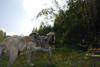 2009-09-20_ntb_8578
