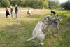 2009-09-20_ntb_8580