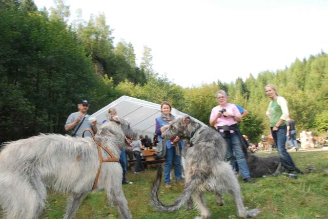 2009-09-20_ntb_8585