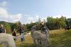 2009-09-20_ntb_8587
