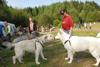 2009-09-20_ntb_8588