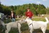 2009-09-20_ntb_8589