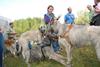 2009-09-20_ntb_8591