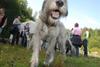 2009-09-20_ntb_8592
