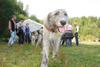 2009-09-20_ntb_8593