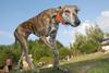 2009-09-20_ntb_8594