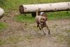 2009-10-04_ntb_0228