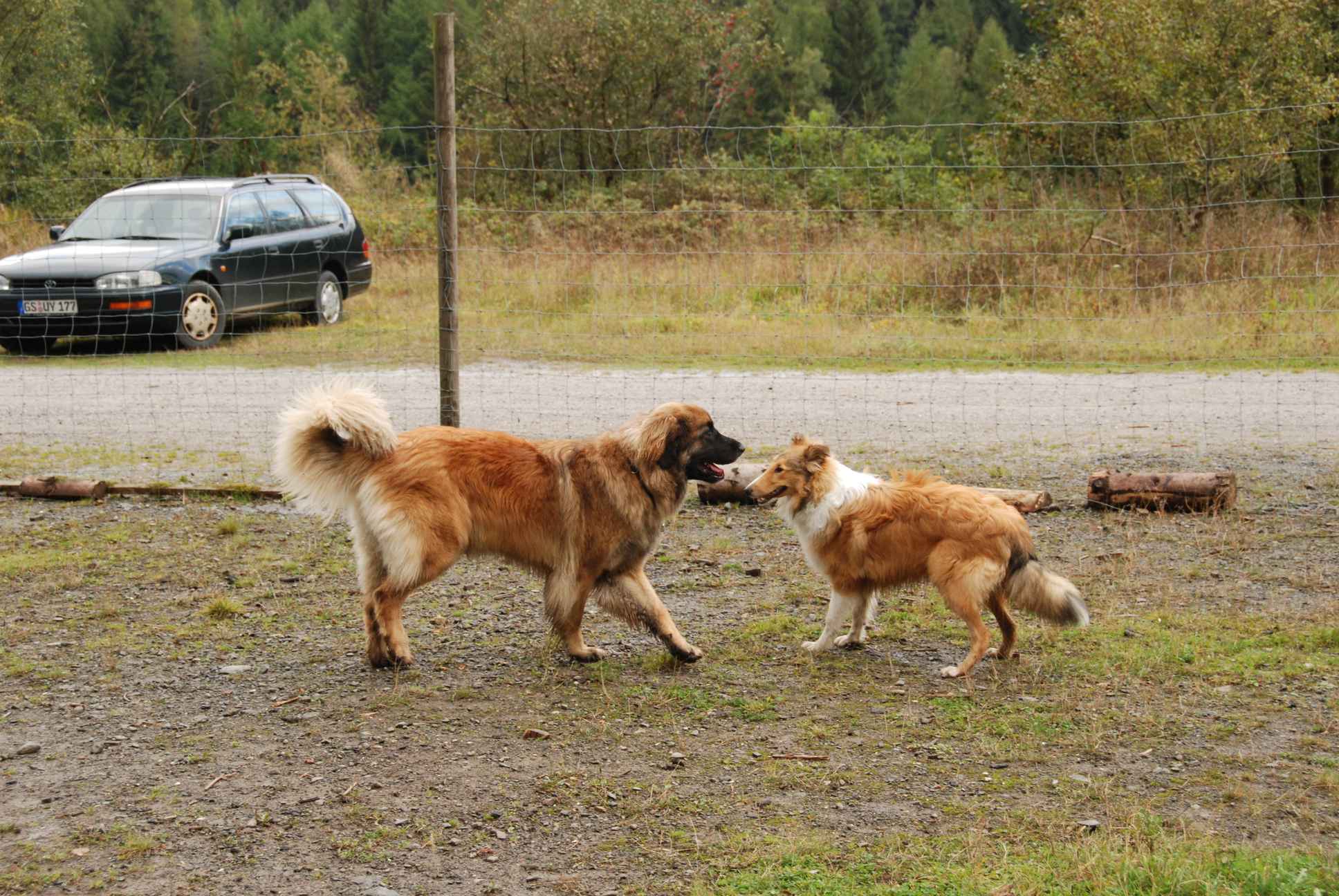 2009-10-04_ntb_0264
