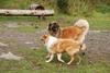 2009-10-04_ntb_0277