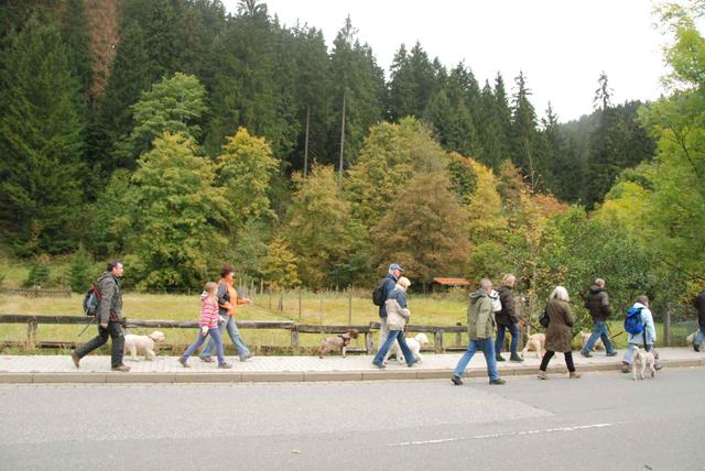2009-10-03_ntb_9557