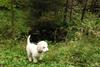 2009-10-03_ntb_9561