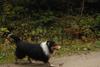 2009-10-03_ntb_9562