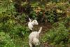 2009-10-03_ntb_9563