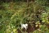 2009-10-03_ntb_9564