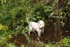2009-10-03_ntb_9565