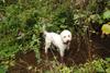 2009-10-03_ntb_9566
