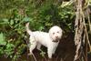 2009-10-03_ntb_9567