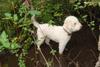 2009-10-03_ntb_9569