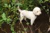 2009-10-03_ntb_9570