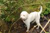 2009-10-03_ntb_9575