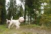 2009-10-03_ntb_9576