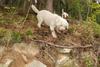 2009-10-03_ntb_9578