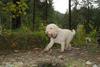 2009-10-03_ntb_9580