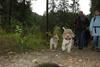 2009-10-03_ntb_9581