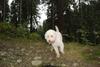 2009-10-03_ntb_9584