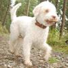 2009-10-03_ntb_9585